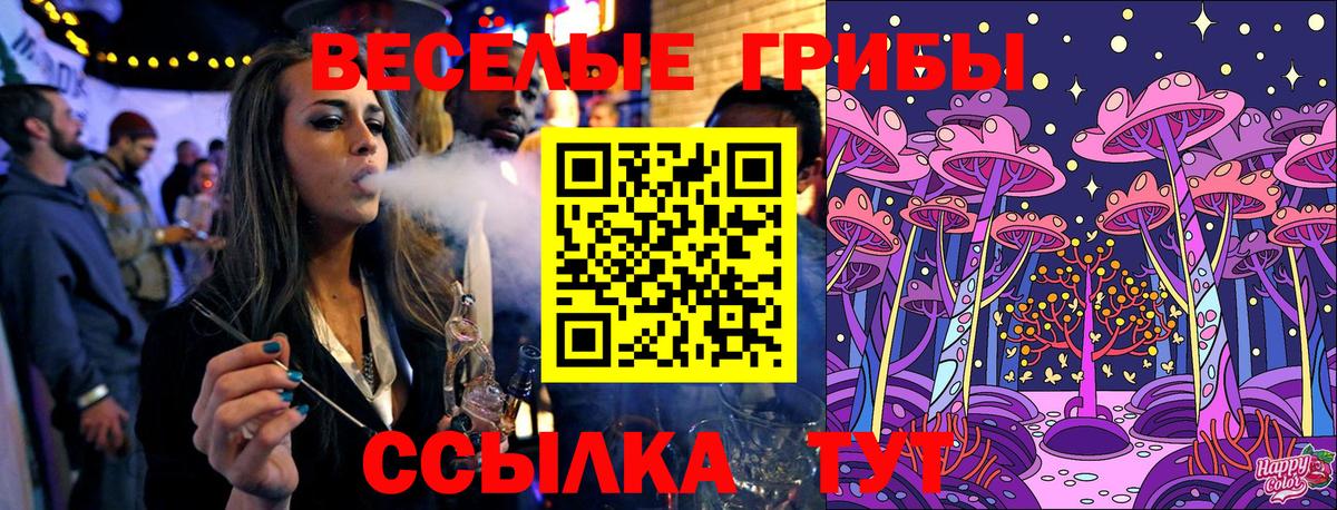 где продают наркотики  Псилоцибиновые грибы мицелий  Вход с VPN  Сокол 